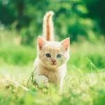 snapshot-gallery-photo-three.webp